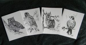 Four Raptor Hand-drawn Note Cards