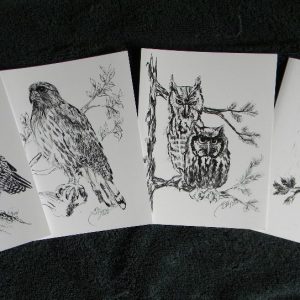 Four Raptor Hand-drawn Note Cards