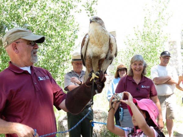 Photo of man holding hawk withe child taking a photo and people in the background contact Black Hills Raptor Center