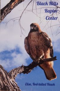 Click on the image to enlarge.