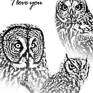 BHRC Greeting Cards