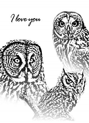 BHRC Greeting Cards