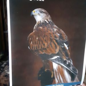 BHRC Coloring Book "The Raptors"