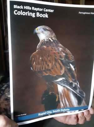 BHRC Coloring Book "The Raptors"