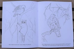 BHRC Coloring Book "Elise 30th Bird-day" - Image 3