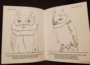 BHRC Coloring Book "The Raptors" - Image 2