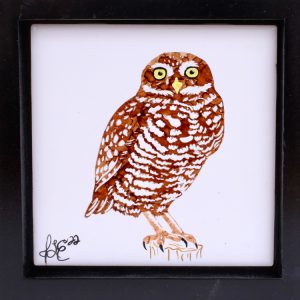 Ceramic Tile Art Burrowing Owl
