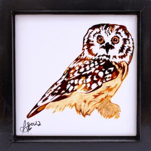 Ceramic Tile Art Saw-whet Owl Full Body