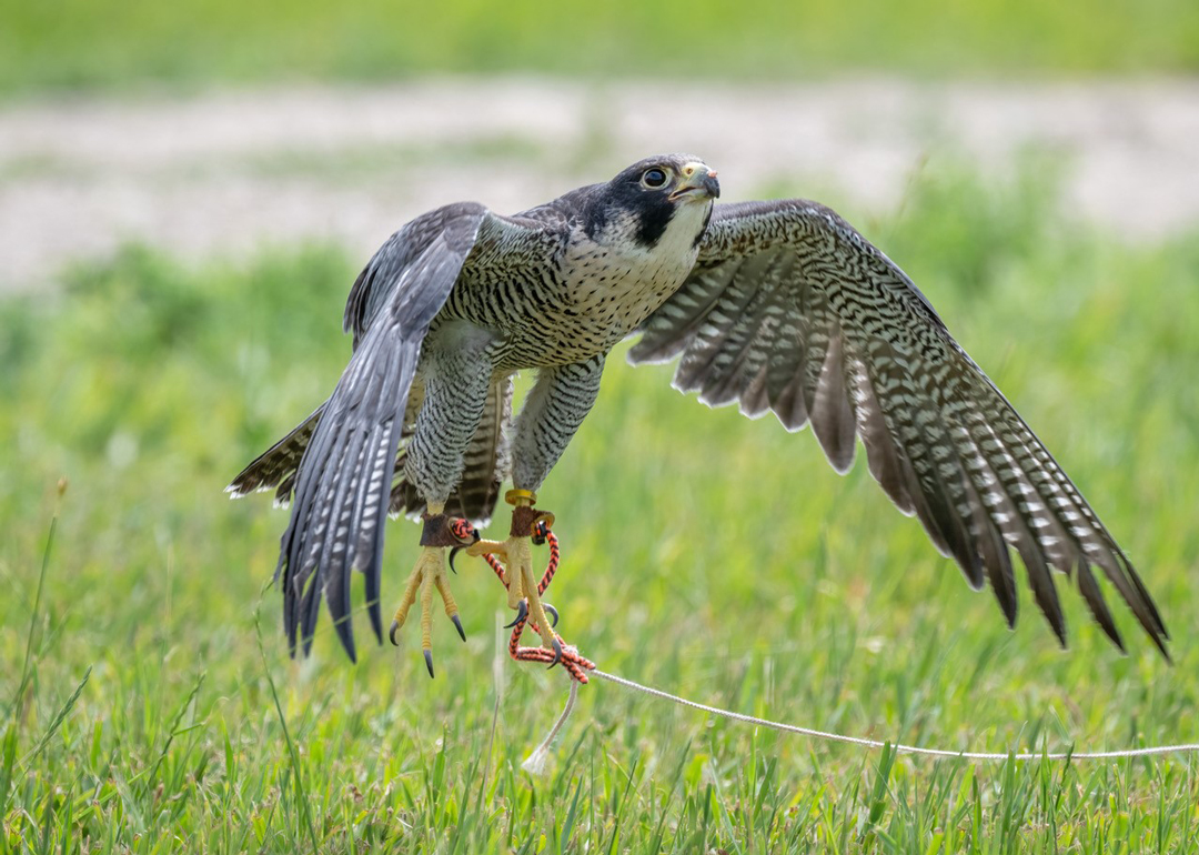 Taking off by H. Beilstien