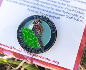 American Kestrel pin