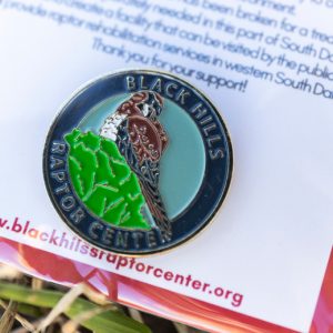 American Kestrel pin