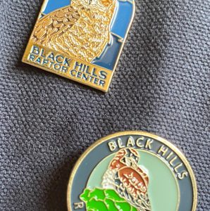 American Kestrel or Horned Owl pin