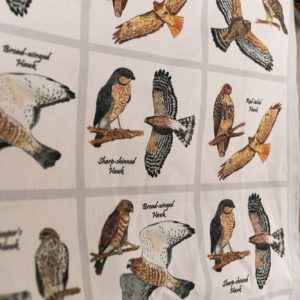 Hawk tea towel
