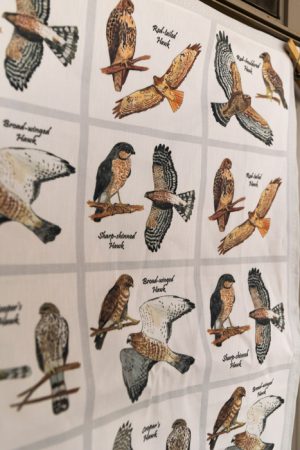Hawk tea towel