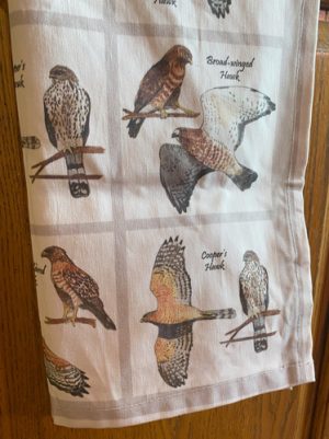 Hawk tea towel - Image 3